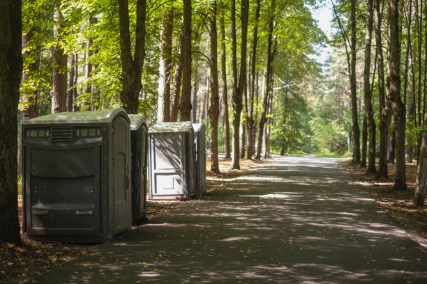 Best Affordable porta potty rental  in Carpendale, WV